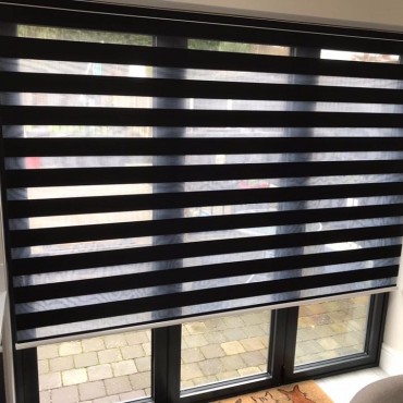 Vision Blinds