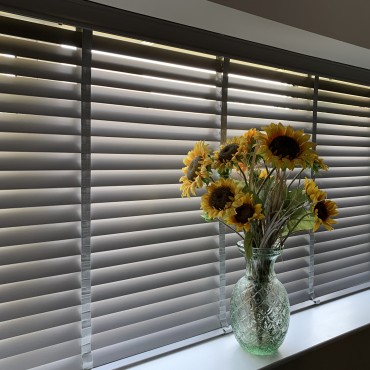 Venetian Blinds